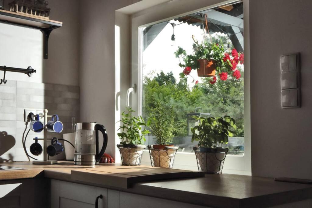 Drewniany domek nad jeziorem w Sitnie - Casa Con Due Camere Da Letto