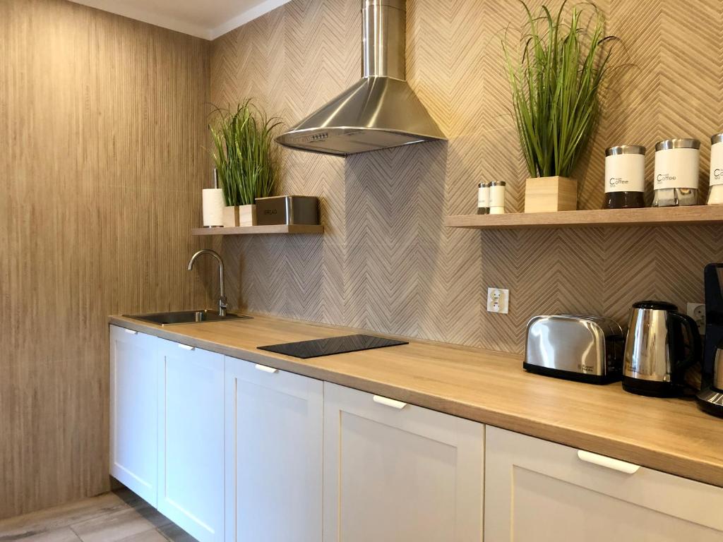 Kuchyň nebo kuchyňský kout v ubytování Apartamenty Forest&Sea