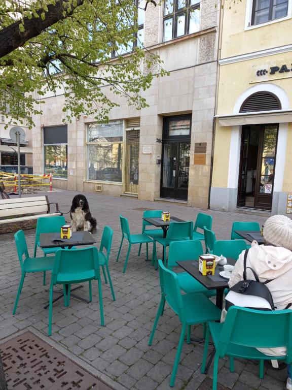 Um restaurante ou outro lugar para comer em AHA