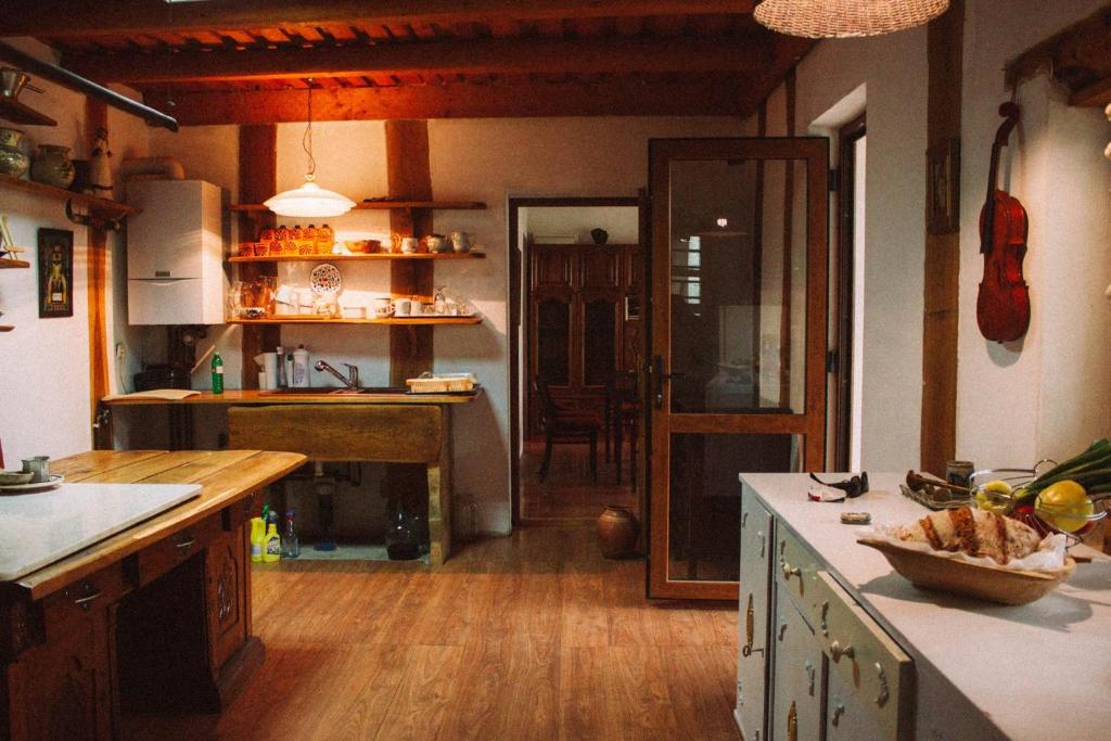 Casa pictorului