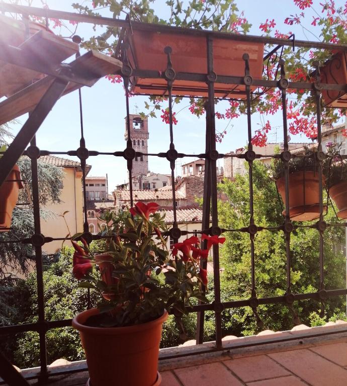 Balkon lub taras w obiekcie Bed and Breakfast Evelina