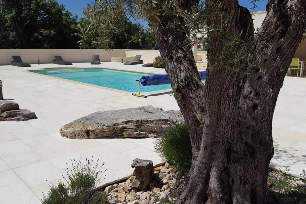 Bazén v ubytování Gîte La Truffière nebo v jeho okolí