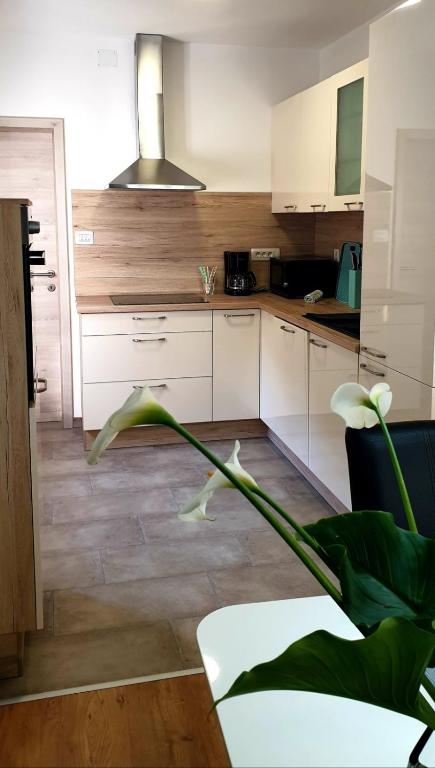 Kuchnia lub aneks kuchenny w obiekcie Apartman Ela