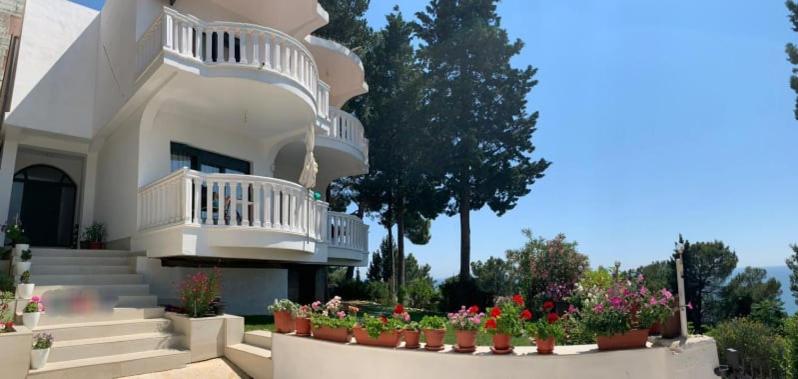 Zahrada ubytování Beqa Apartments
