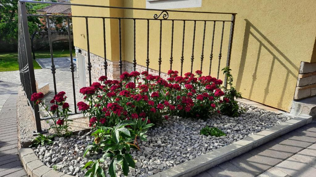 Ogród w obiekcie Apartman Ela