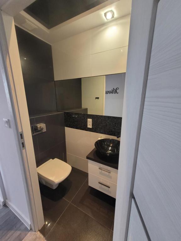 Apartamenty Chopina 1 - Appartement D'une Chambre