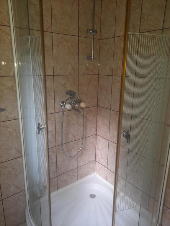 a shower with a glass door in a bathroom at Milojković in Donji Milanovac