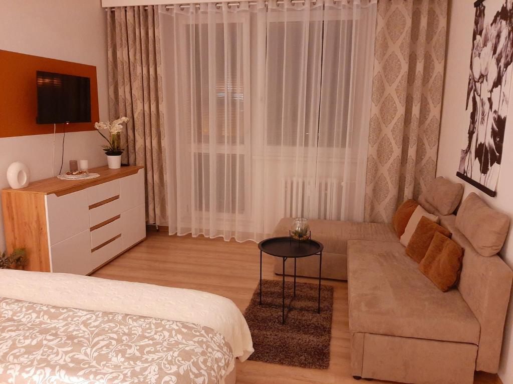 ein Wohnzimmer mit einem Bett und einem Sofa in der Unterkunft Apartmán Hanka in Znojmo