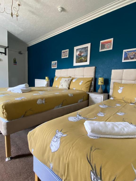 インバネスにあるNo 29 Bed and Breakfastの青い壁のベッドルーム1室(ベッド2台付)