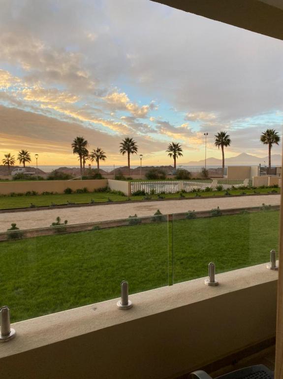 a window with a view of a park with palm trees at Bello departamento av del mar in Coquimbo