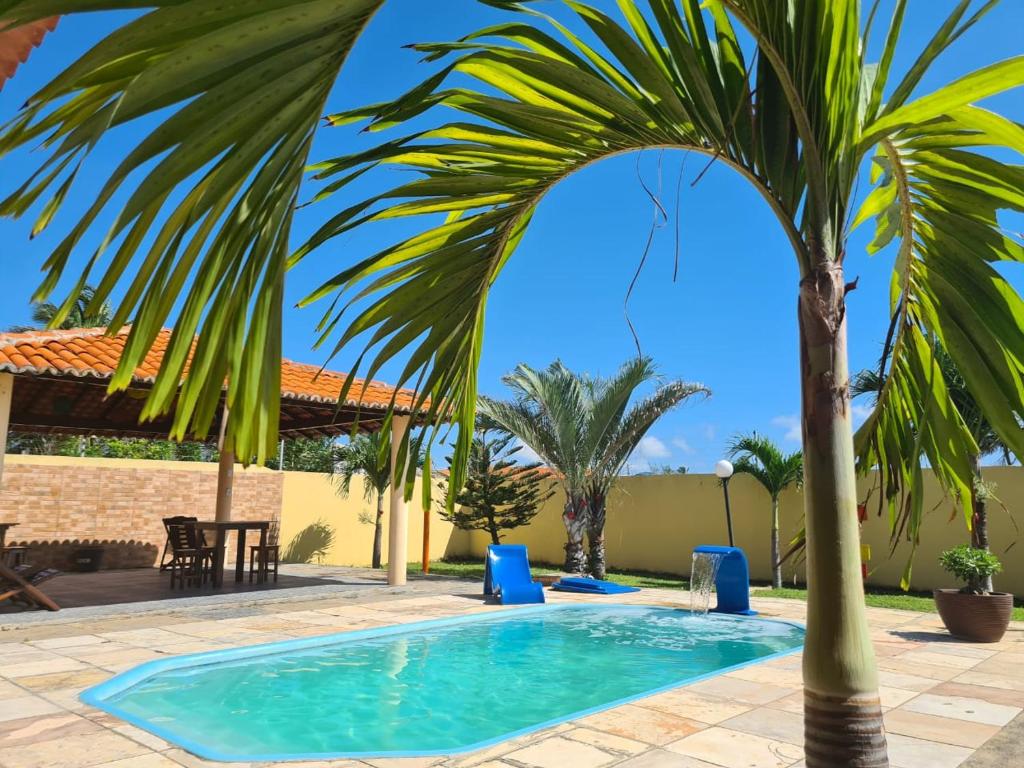 una palmera junto a una piscina en Pousada Sonho de Mar en Luis Correia