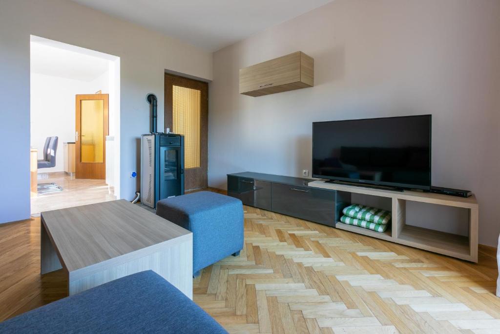 salon z dużym telewizorem z płaskim ekranem w obiekcie House Vicky w mieście Mošćenice