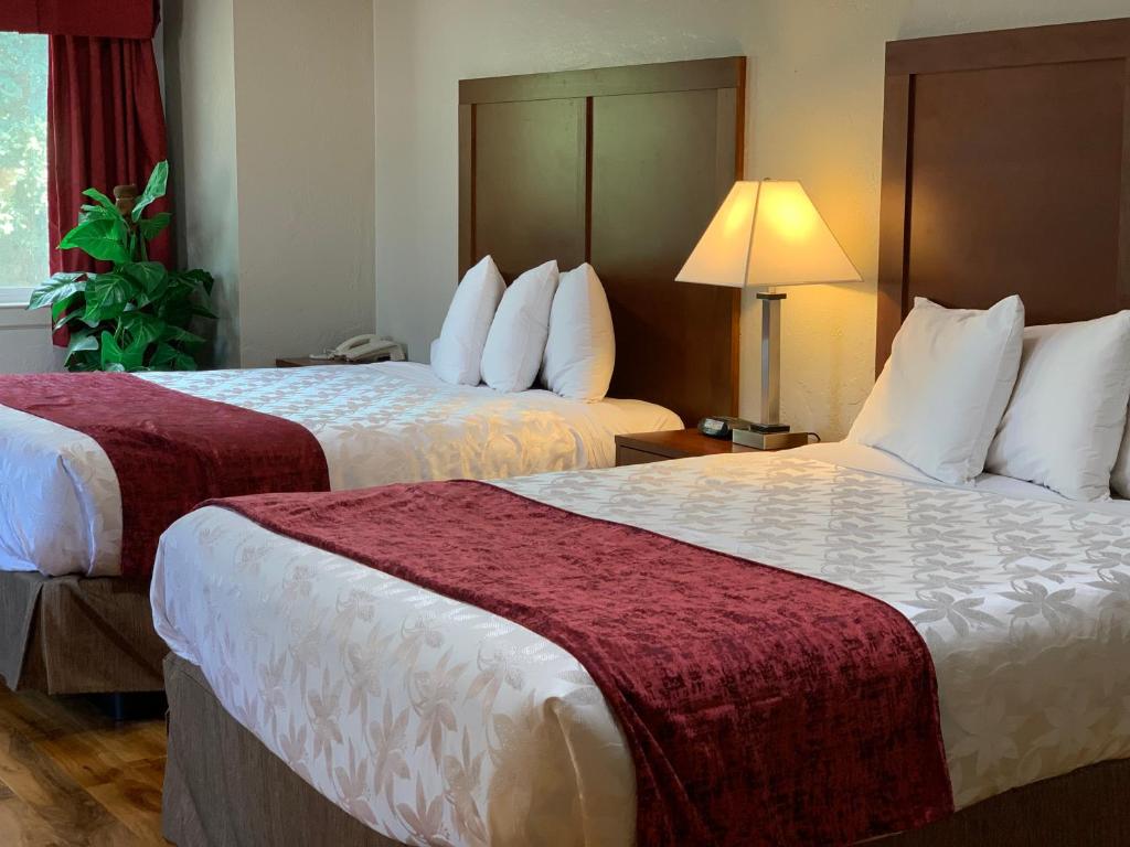 ein Hotelzimmer mit 2 Betten und einer Lampe in der Unterkunft Red Carpet Inn Medford in Medford