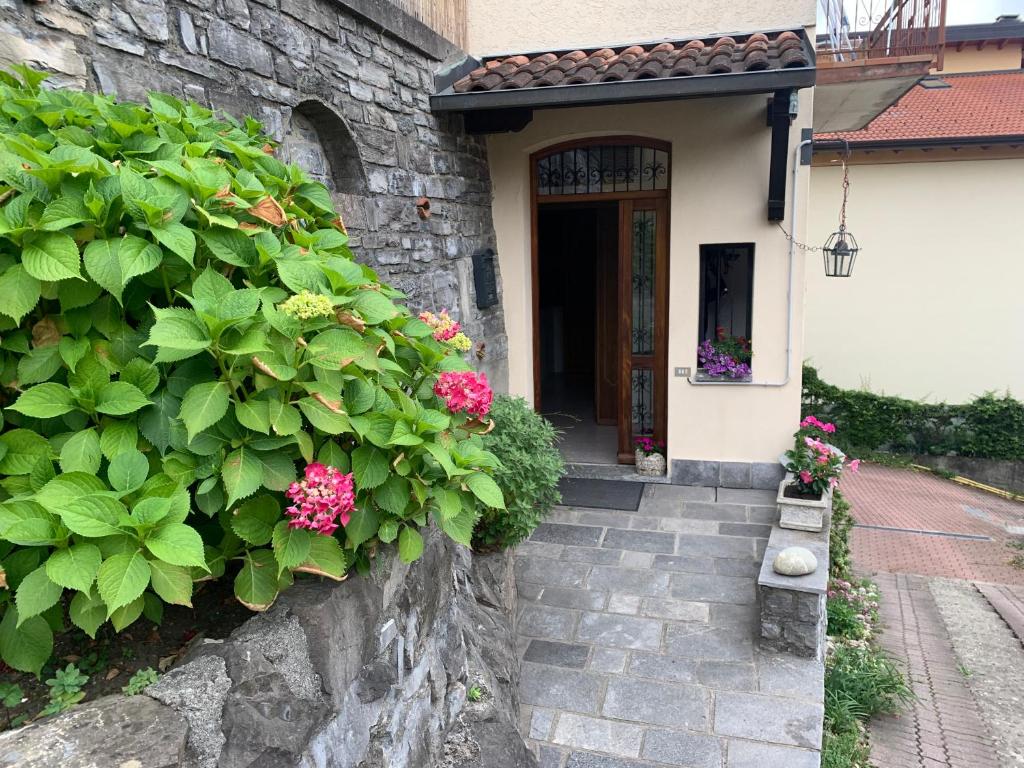 Zahrada ubytování Reginaldo's home