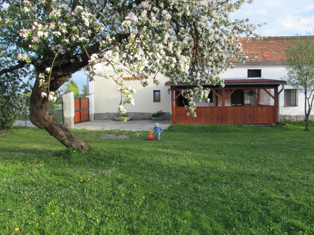 Zahrada ubytování Pension Otěvěk