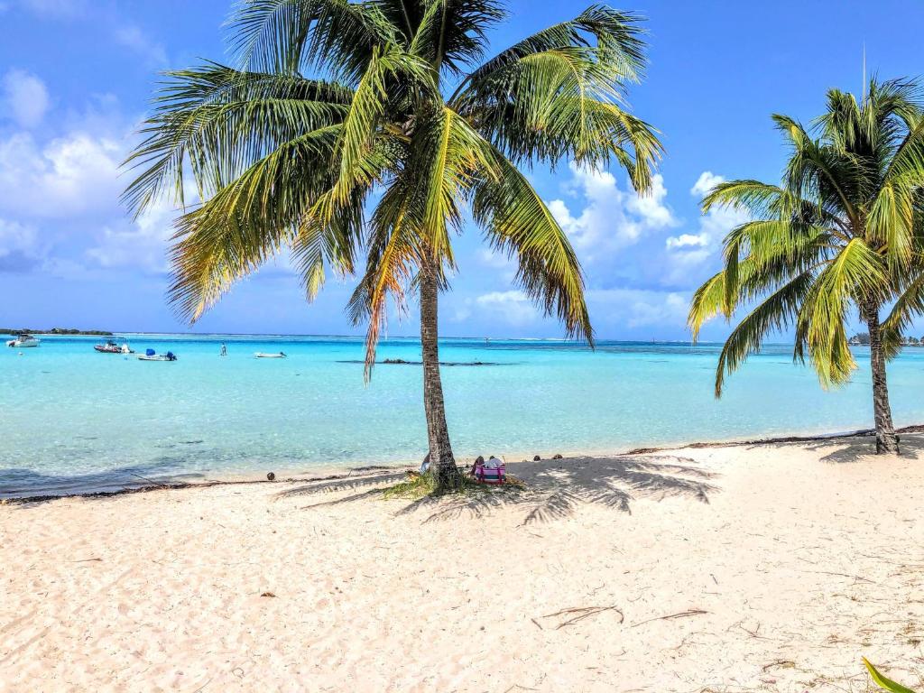 two palm trees on a beach with the ocean at MOOREA - Tropical Soul in Hauru