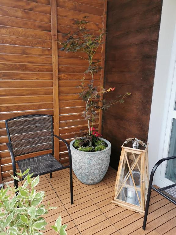 Zahrada ubytování APARTAMENT BIESZCZADY