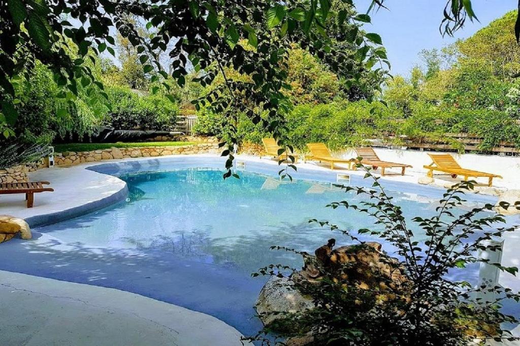 una piscina en un patio con 2 sillas amarillas en Salvacintoggio -Votre Villa avec Piscine Privée-, en Porto Vecchio