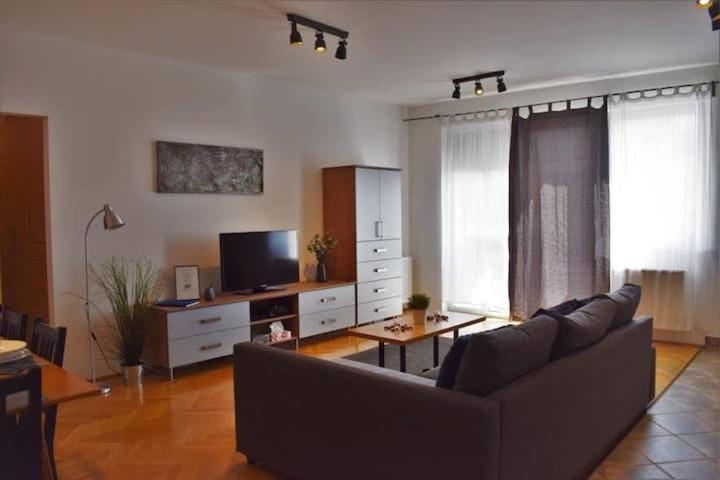 TV a/nebo společenská místnost v ubytování Cosy Apartment In Budapest Downtown WITH Free Garage Parking