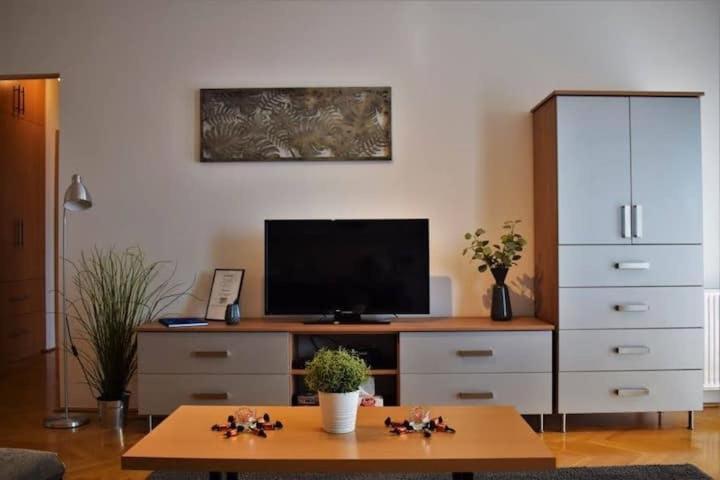 TV a/nebo společenská místnost v ubytování Cosy Apartment In Budapest Downtown WITH Free Garage Parking