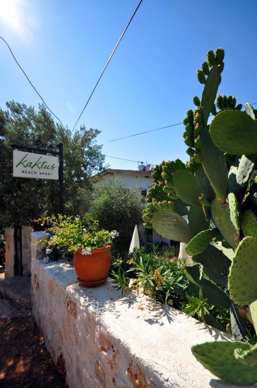 Kaktus Beach Apart - 8