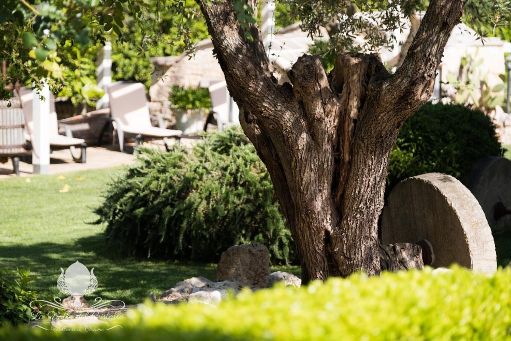 Vonkajšia záhrada v ubytovaní La Valle Del Cristallo Wellness & Charme