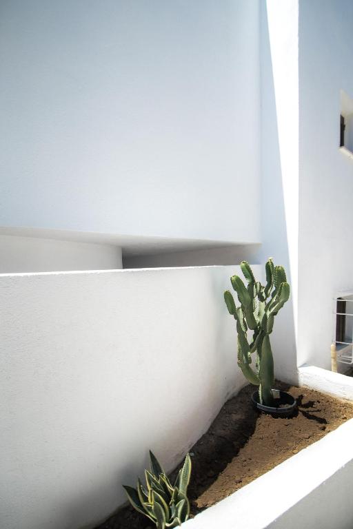 Fotografie z fotogalerie ubytování Lotos Beach Home v destinaci Kinion