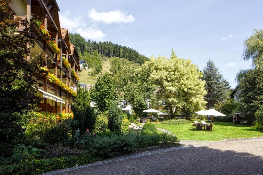 Příroda nedaleko hotelu
