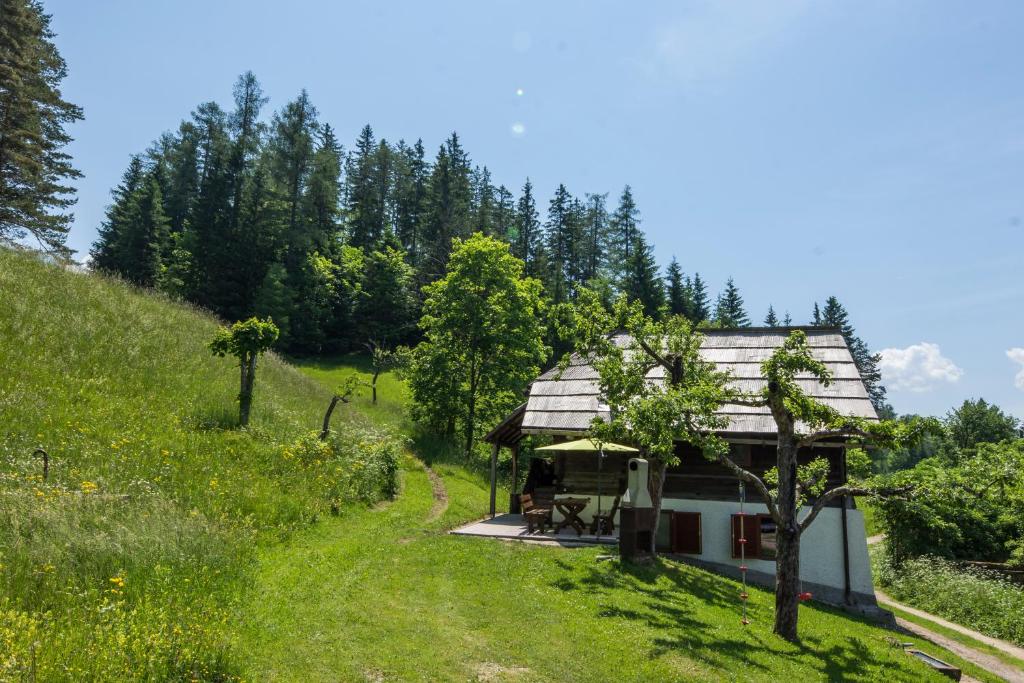 Příroda nedaleko prázdninového domu
