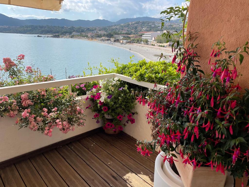 a balcony with flowers and a view of a beach at L’Ile Rousse les pieds dans l’eau in LʼÎle-Rousse