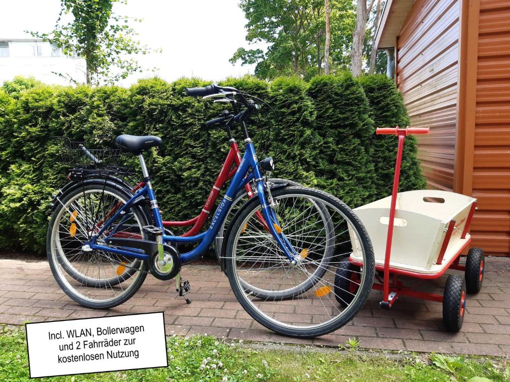 twee fietsen geparkeerd naast elkaar op een stoep bij Zempin Ostseepark WE 32 Insel Used in Zempin