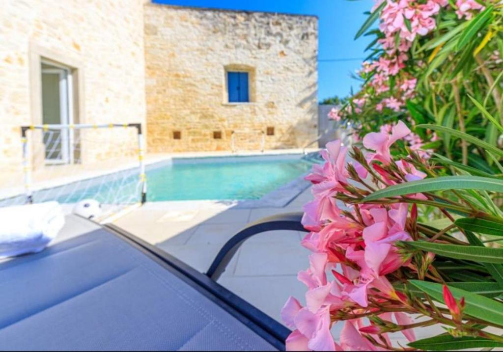 a villa with a swimming pool and pink flowers at Pepe&Lynn in Višnjan