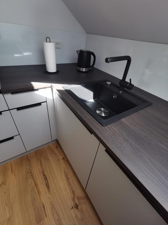 Kuchyň nebo kuchyňský kout v ubytování Living Apartment_2