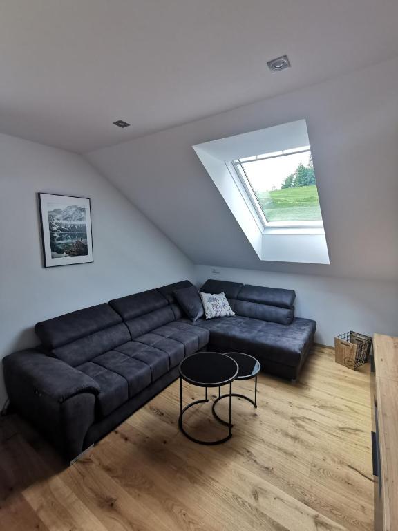 Posezení v ubytování Living Apartment_2