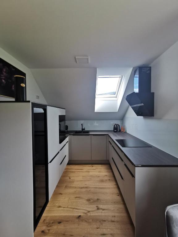Kuchyň nebo kuchyňský kout v ubytování Living Apartment_2