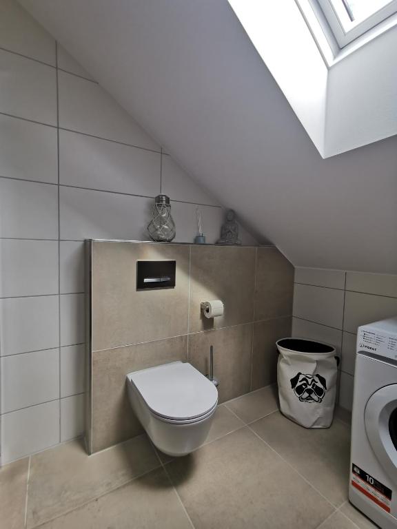 Koupelna v ubytování Living Apartment_2