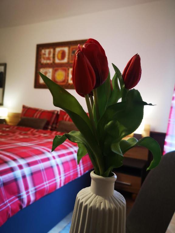 Rosy's House B&B - 14