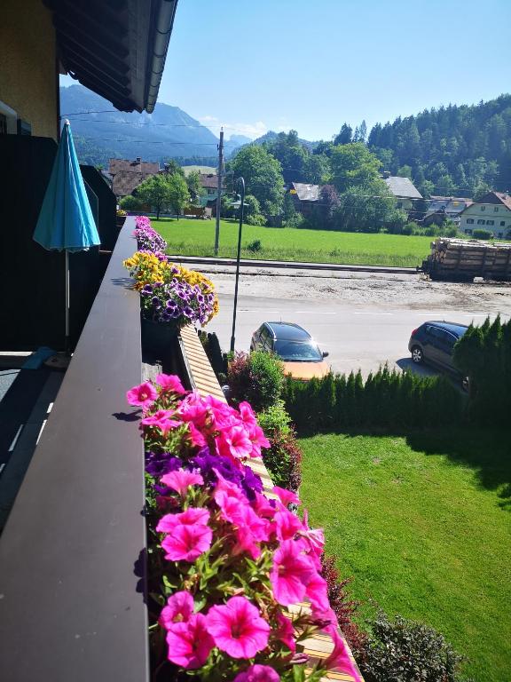 Rosy's House B&B - 9