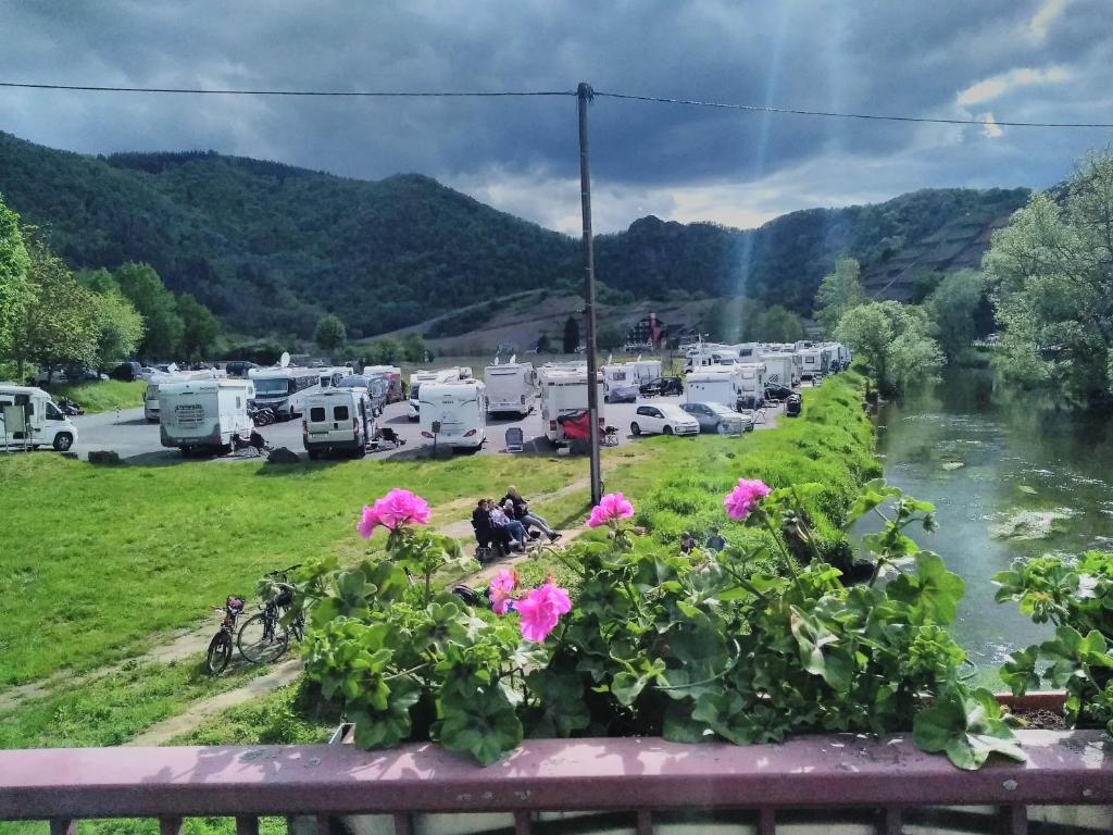 Příroda nedaleko apartmánu