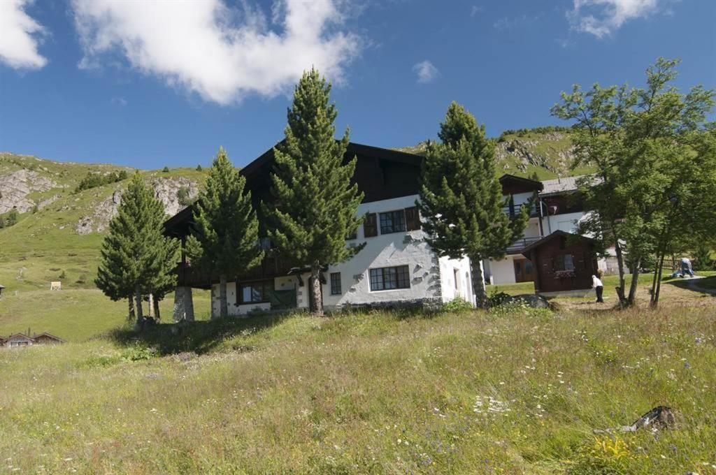 ein Haus auf einem Hügel mit Bäumen auf einem Feld in der Unterkunft Schönegg Studio in Riederalp