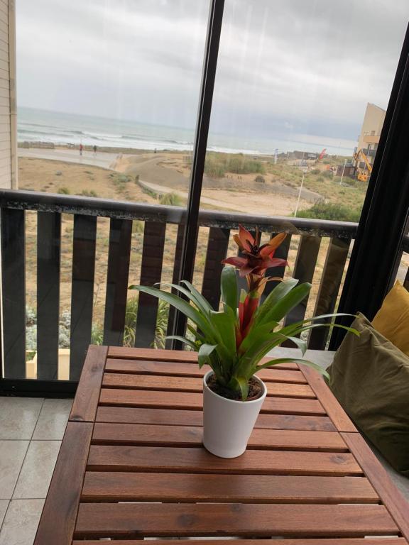 Appartement vue sur mer, 30m de la plage في لاكانو-أوسيان: خزاف نبات يجلس على طاولة خشبية على شرفة