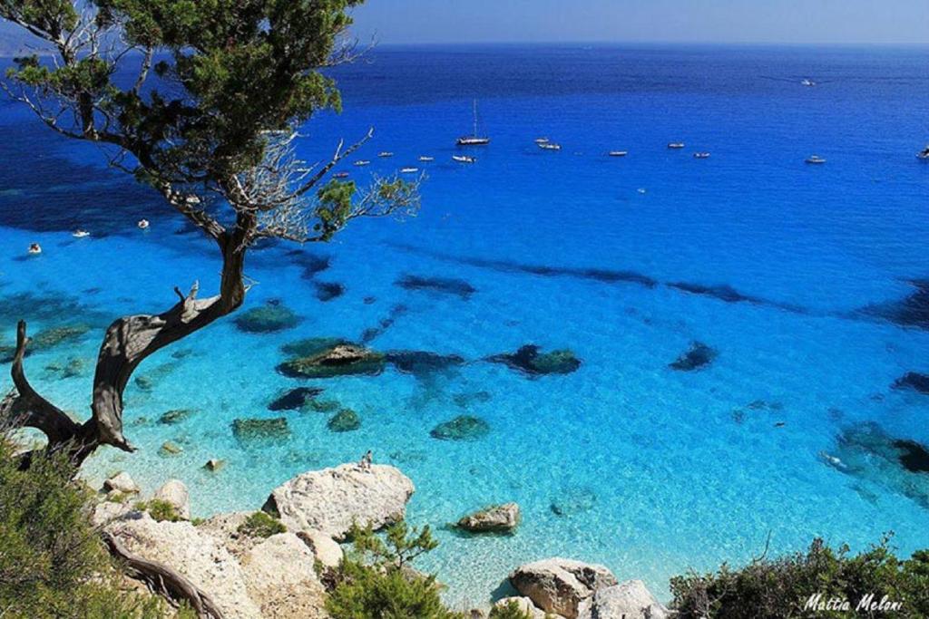 カーラゴノネにあるTraditional House Beranu Sardiniaの青い海と木のある海