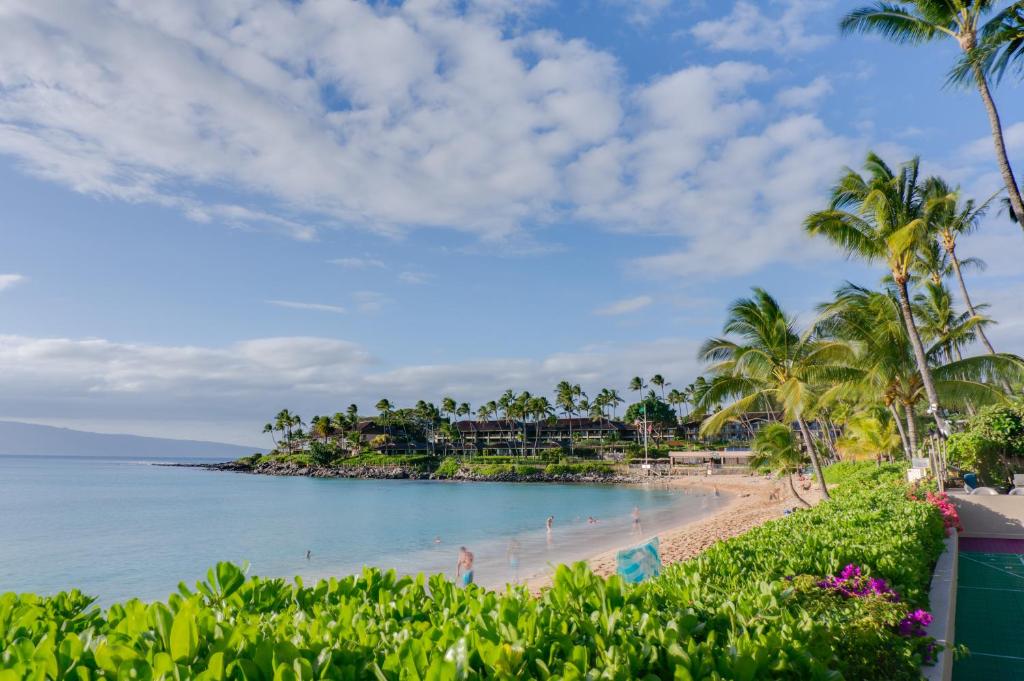 a view of a beach with palm trees and the ocean at Hale Napili in Lahaina