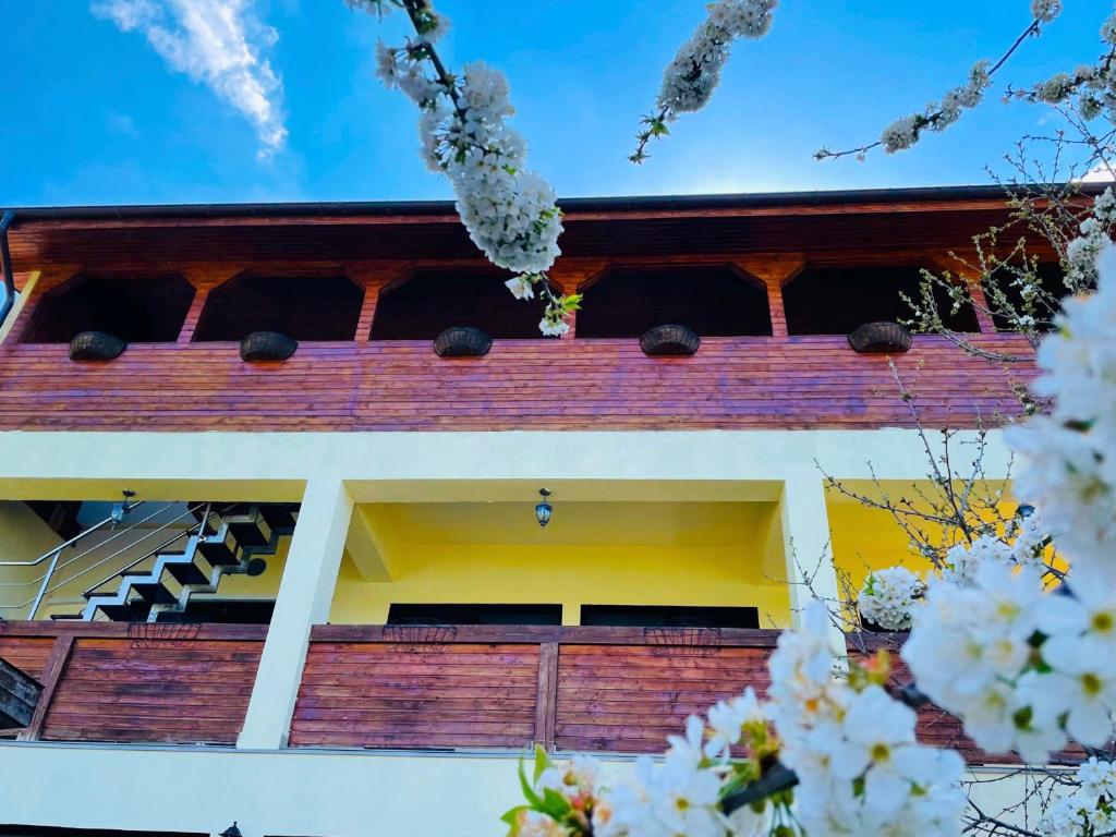 ドゥボバにあるCasa Cameliaの手前に白い花が咲く建物