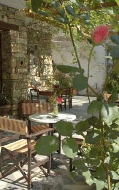Zahrada ubytování Hotel Sofia