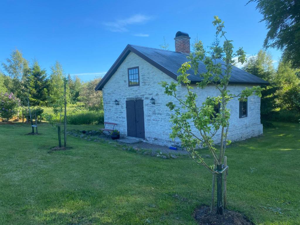 una piccola casa bianca con un albero in cortile di Stenbrottets smedja a Falköping