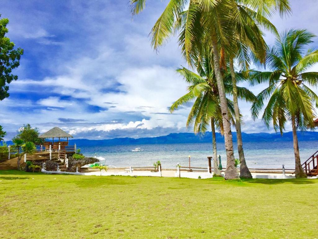 a group of palm trees on the beach at Tauig Beach Resort in Moalboal