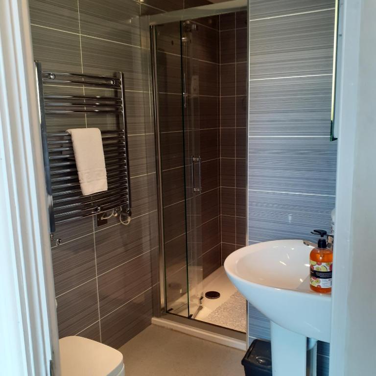 a bathroom with a shower and a sink at 2 Bodwen Villas in Llangollen