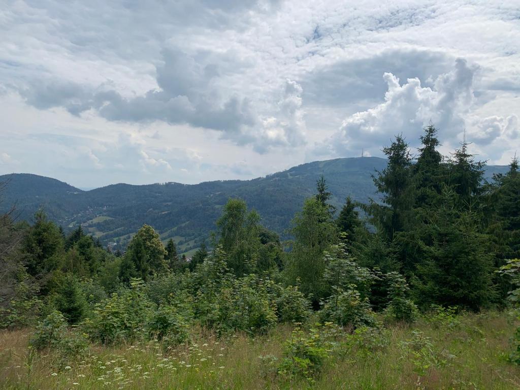 Příroda nedaleko apartmánu
