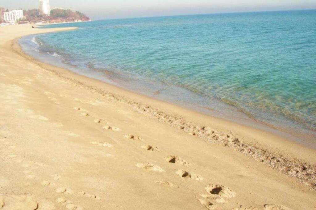 Варна Болгария пляж золотые Пески